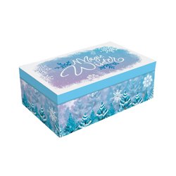 MAGIC WINTER JEWELRY BOX WITH ACCESSORIES: BRUSH, 2 HAIR CLIPS, RING, RHINESTONE BRACELET, HAIR BAND 